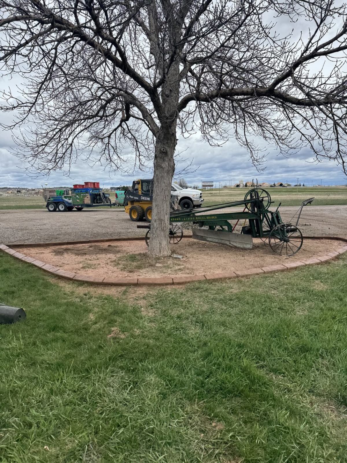 Curved concrete garden border separating lawn from planting beds