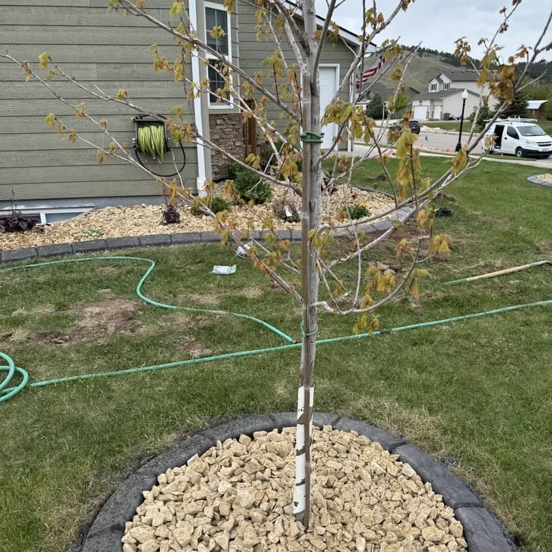 Natural Stone Patio & Fire Pit